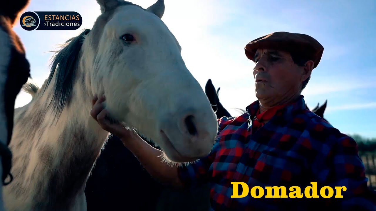157 Historia de un Domador - Estancias y Tradiciones