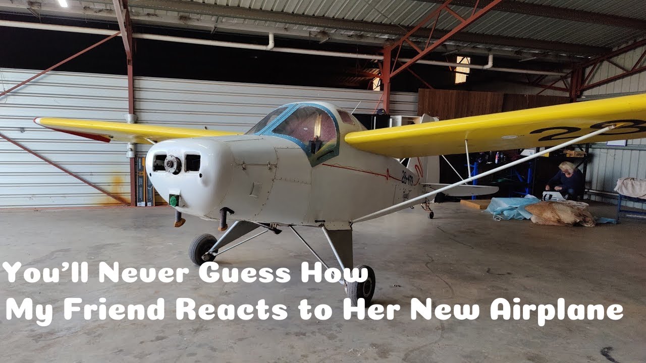 You'll Never Guess How My Friend Reacts to her new Aeroplane #restore #aeroplane #aviation