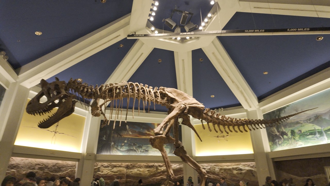 Dinosaur - Final Day Before Closing at Animal Kingdom