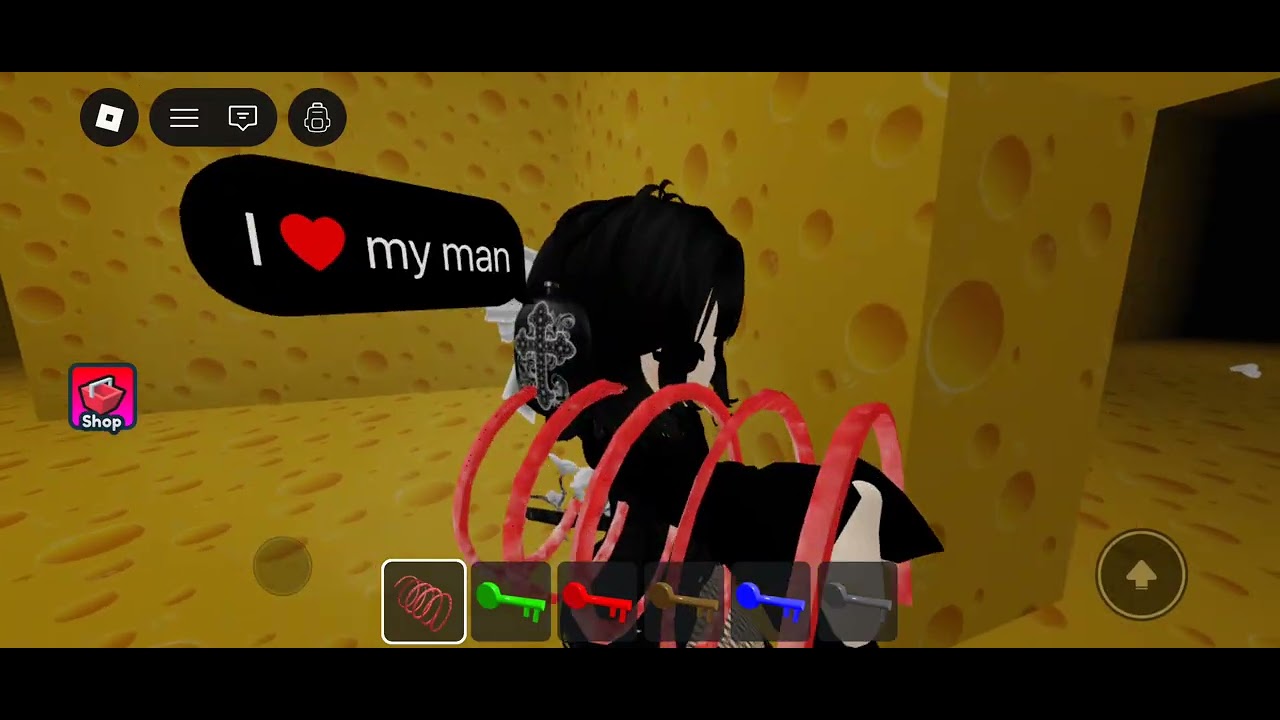 Roblox Gameplay of 