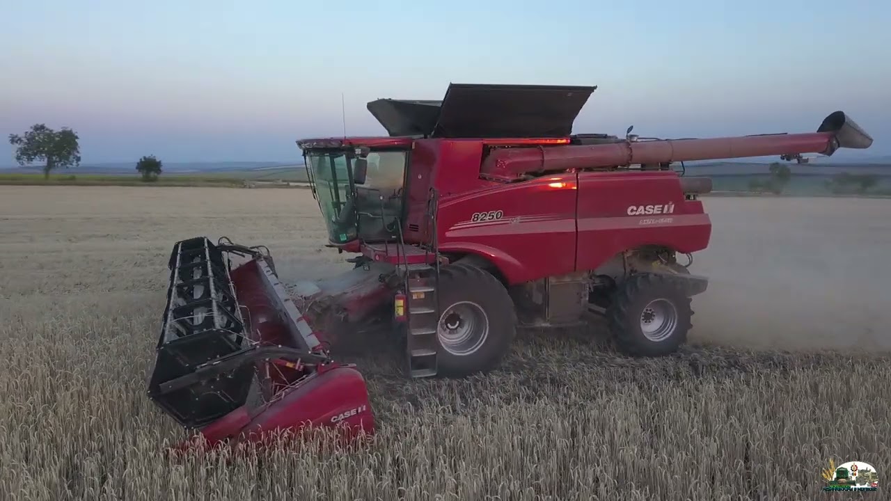 Купили новый комбайн Case IH 8250 и начали испытание на последних полей с тритикалем!