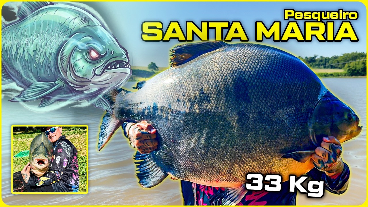 PESQUEIRO SANTA MARIA - OS PEIXES DE L&Aacute; S&Atilde;O MUITO GORDOS! ⚽🔥 [DINIZ PESCA]