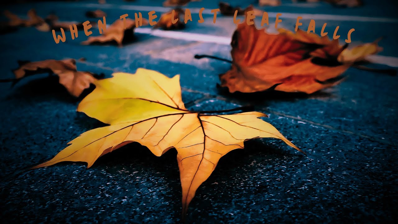 TXB - When the Last Leaf Falls