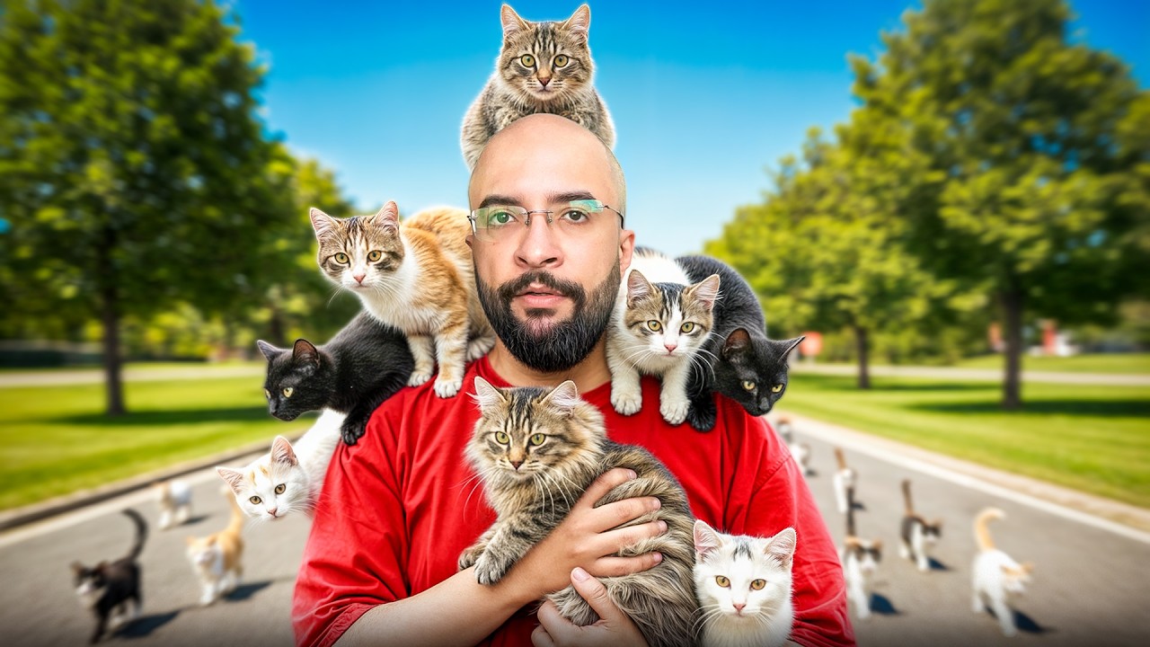 انقاذ قطط الشارع .. !!