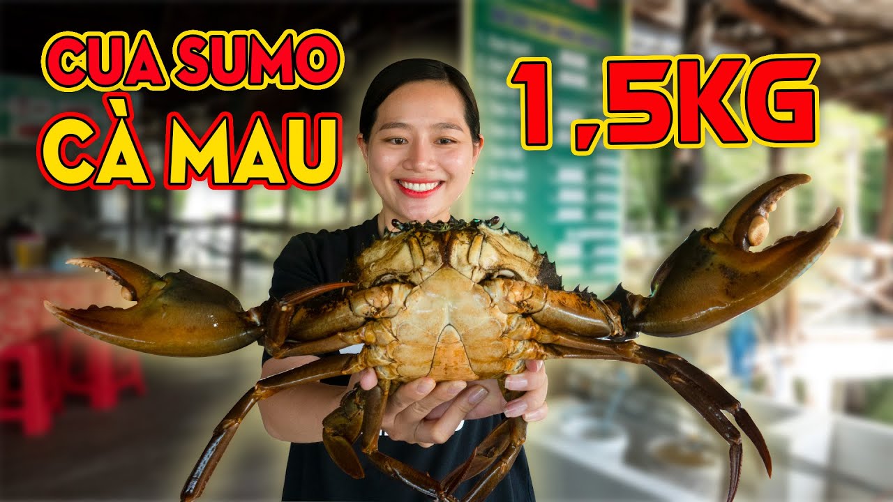 Về Cà Mau ăn toàn Đặc sản và xem Cua Sumo 1,5Kg siêu hiếm chuẩn bị cho Ngày Hội Cua | ÁNH KUA