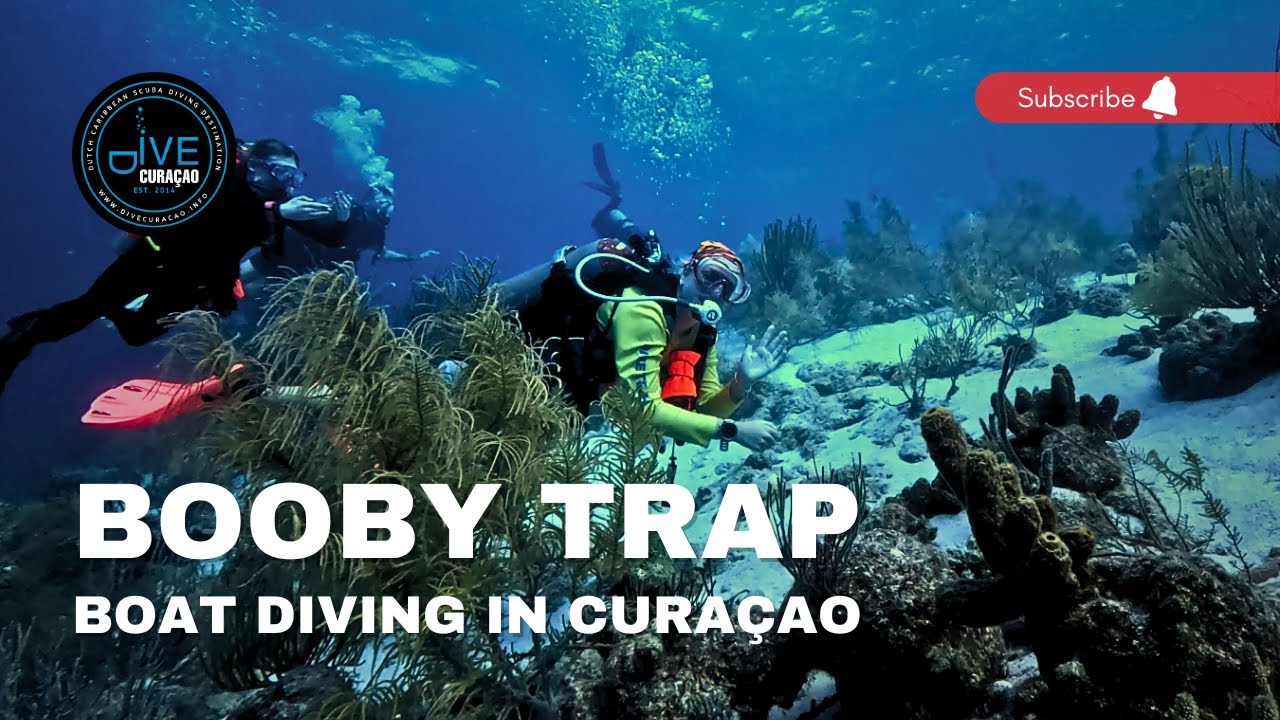 Diving the Booby Trap Dive Site in Curaçao: This Caribbean Reef is Absolutely Insane