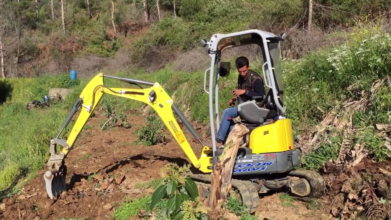 Wacker Neuson EZ17 ile Açık Muz Tarlası Bakımı