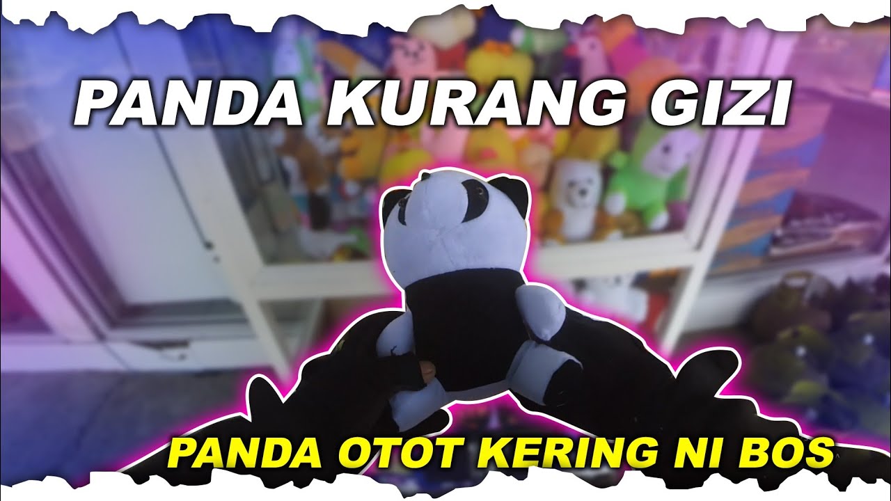 CAPIT BONEKA DAPET BONEKA KURUS KURANG GIZI🤣