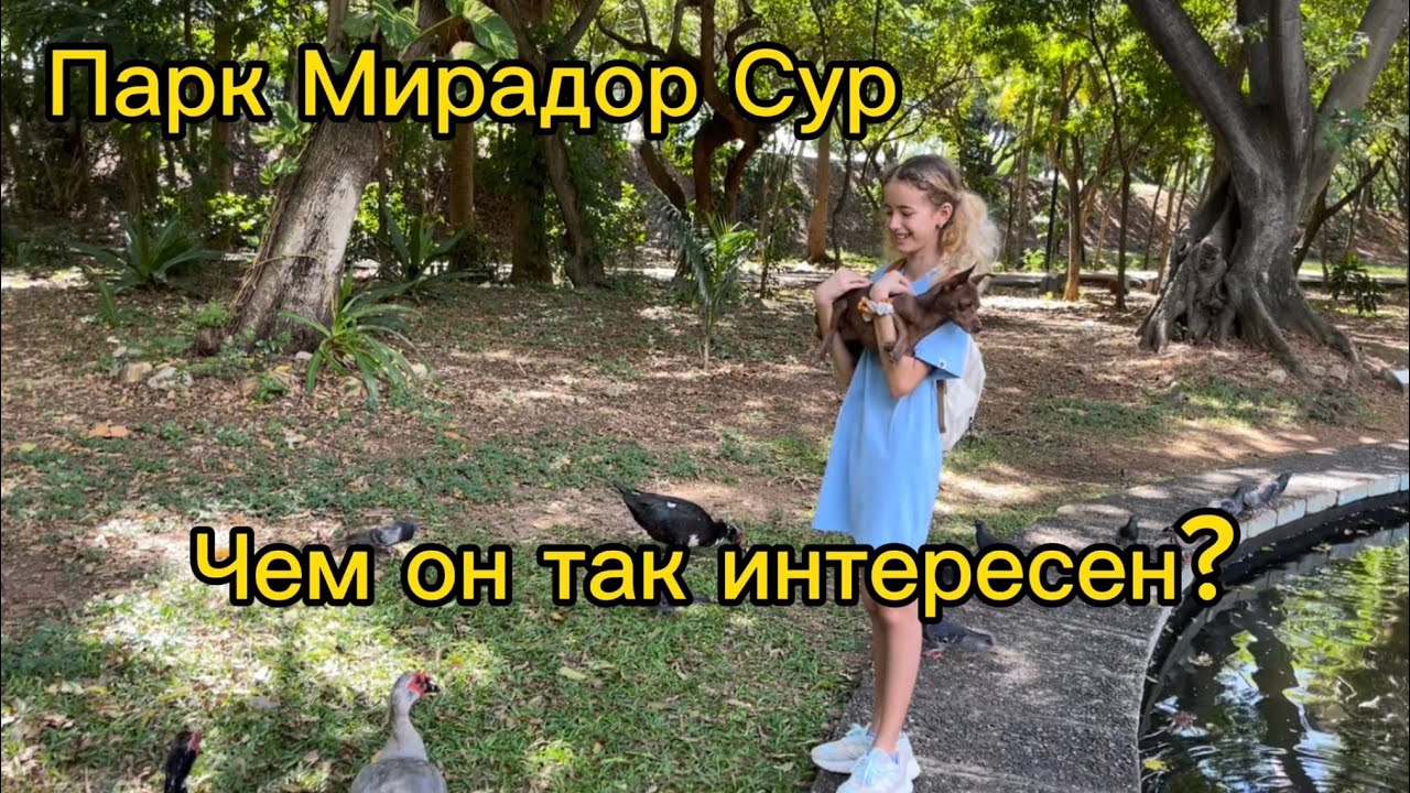 Парк Мирадор Сур. Санто Доминго. Доминиканская Республика. Жизнь в Доминикане.