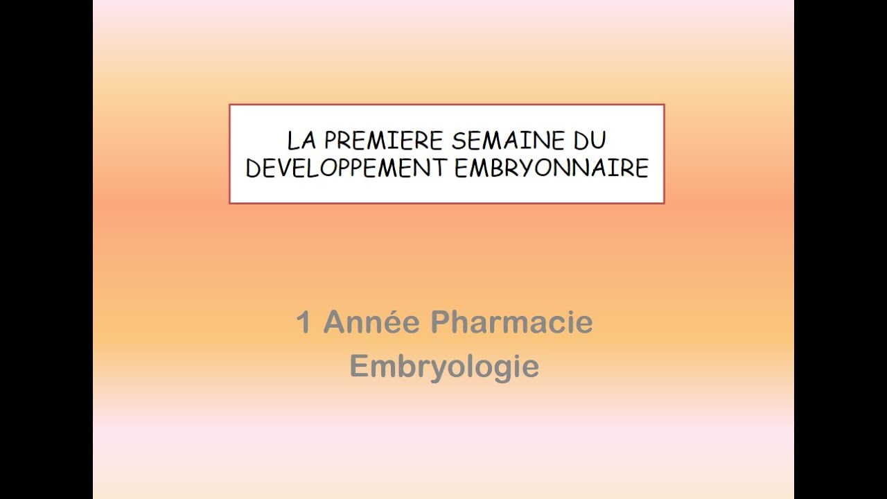 📍LA PREMIERE SEMAINE DU DEVELOPPEMENT EMBRYONAIRE | EMBRYOLOGIE #E9ra_berk #Embryologie