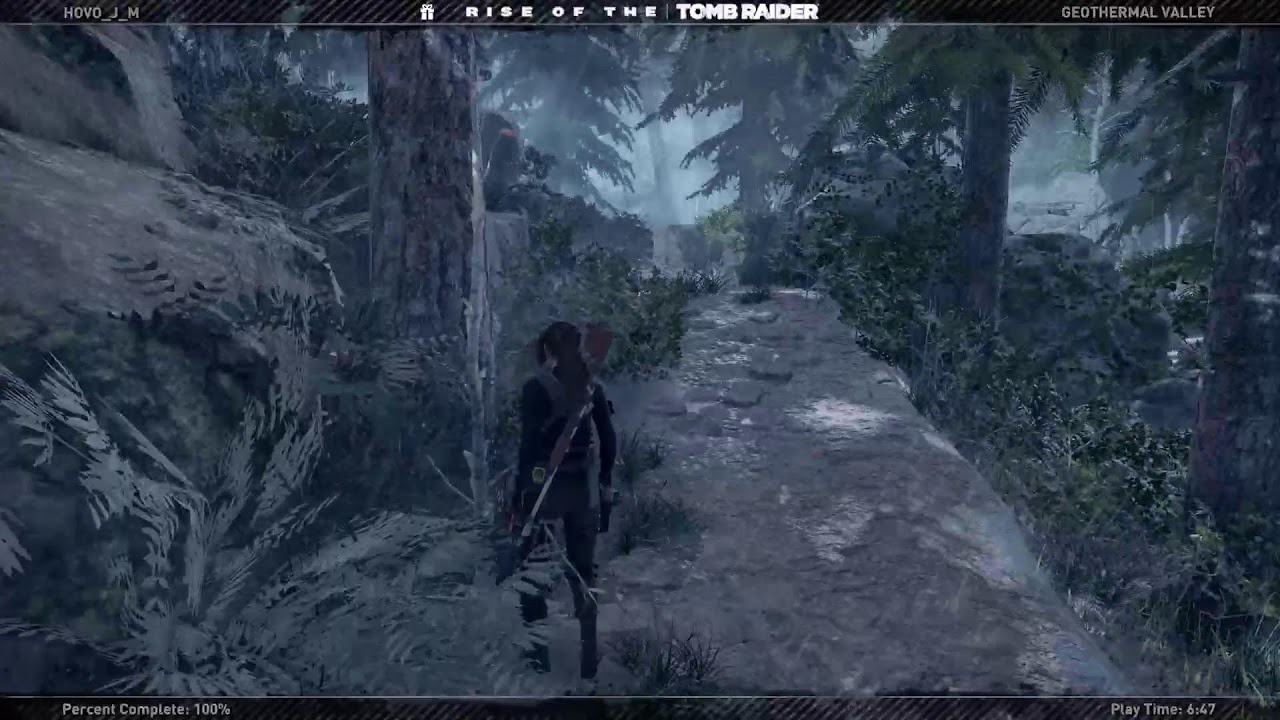 Rise of the Tomb raider endurance single mode