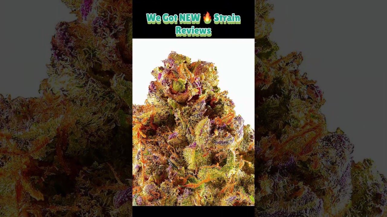 This THCA Flower Looks Too Good to Be Real! 🌿👀 | Honest Review
