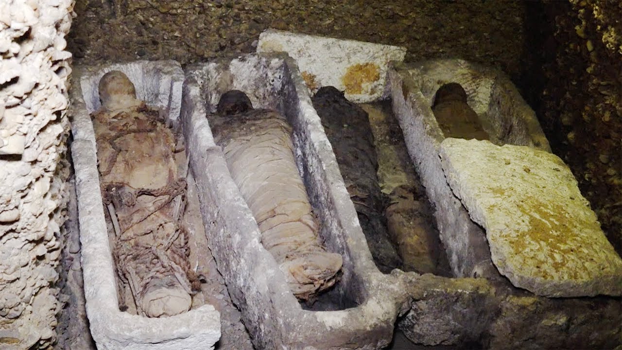 More than 40 ancient Greek mummies discovered in Egypt