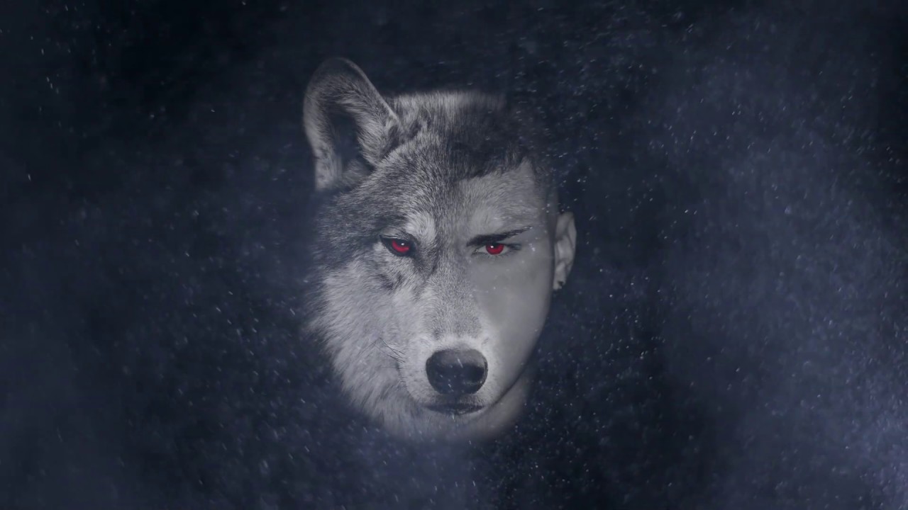 ER LUPO X SONO PRONTO X (Official Video)