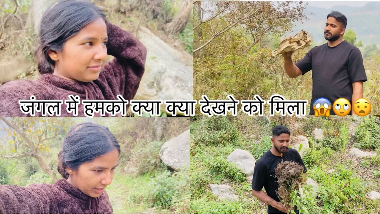 जंगल में दा ने सुनाई अपनी कहानी 😧🙂