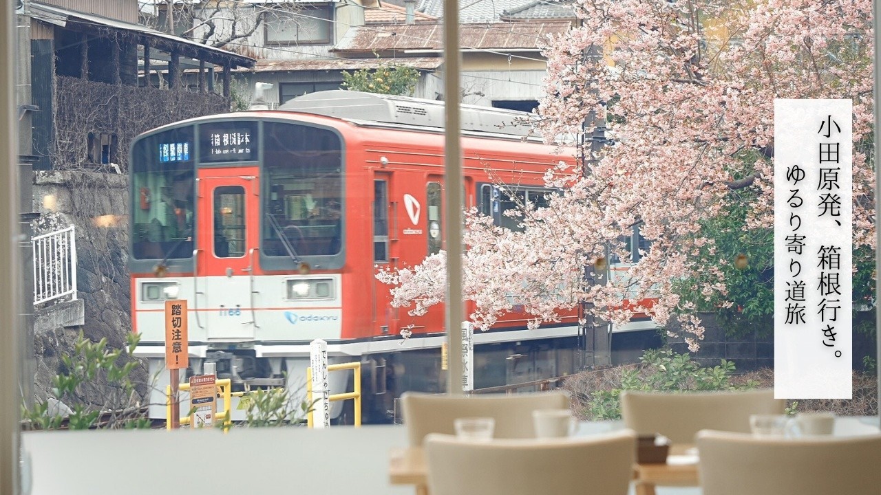 【箱根登山電車 途中下車の旅】小田原～箱根湯本編、ローカル線で見つけるお気に入りの場所