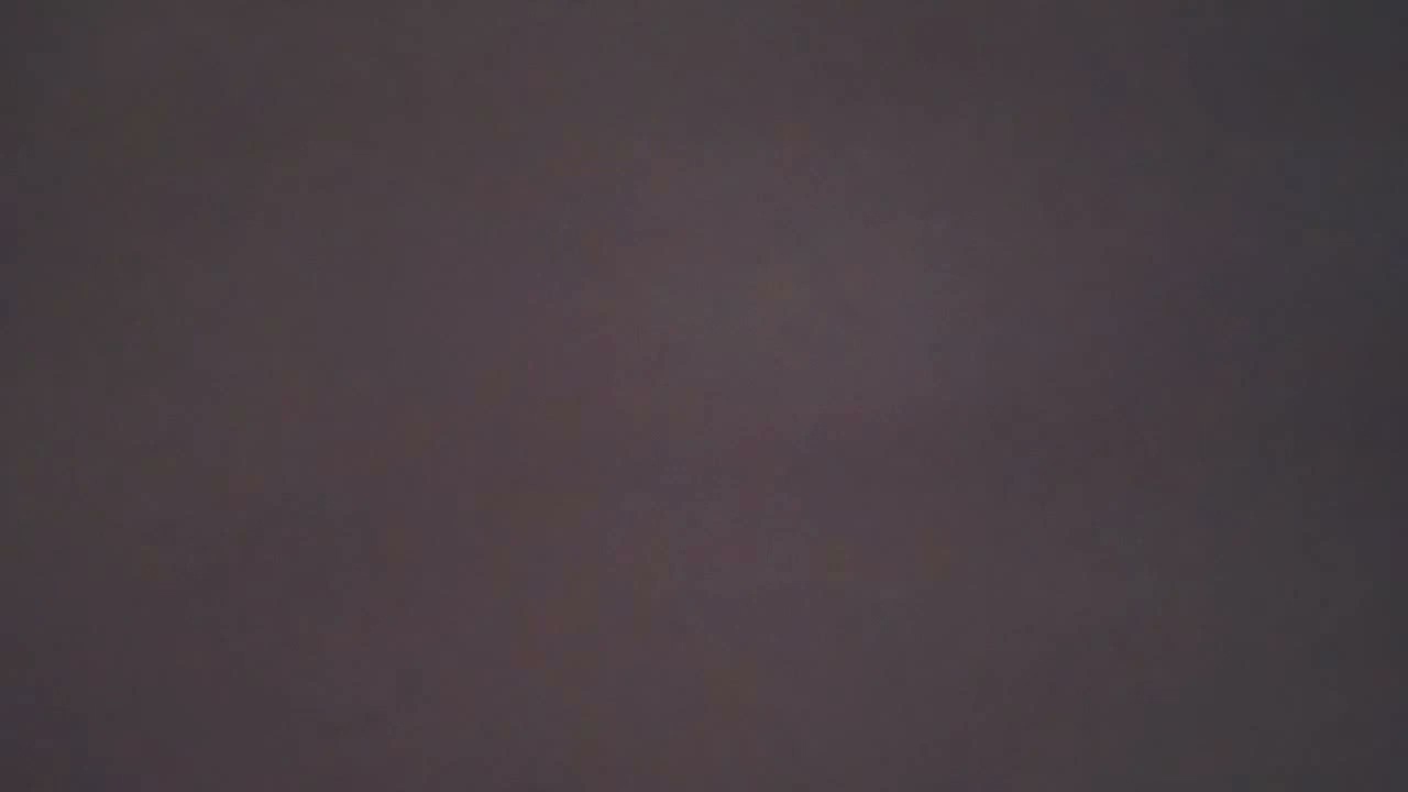 jak z&iacute;skat zdarma GRIFFA v brawl stars 100% no fake