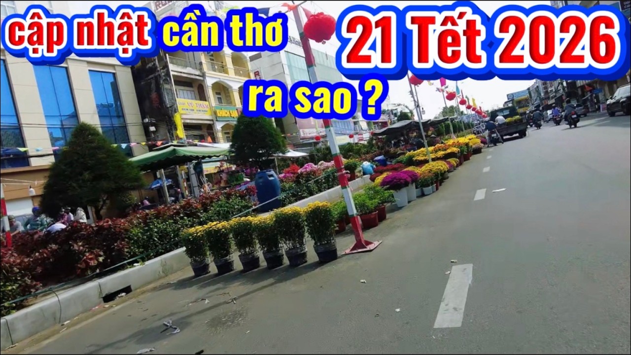 Cập Nhật Nóng: Cần Thơ Ngày 21 Tết 2026 Có Gì Lạ?