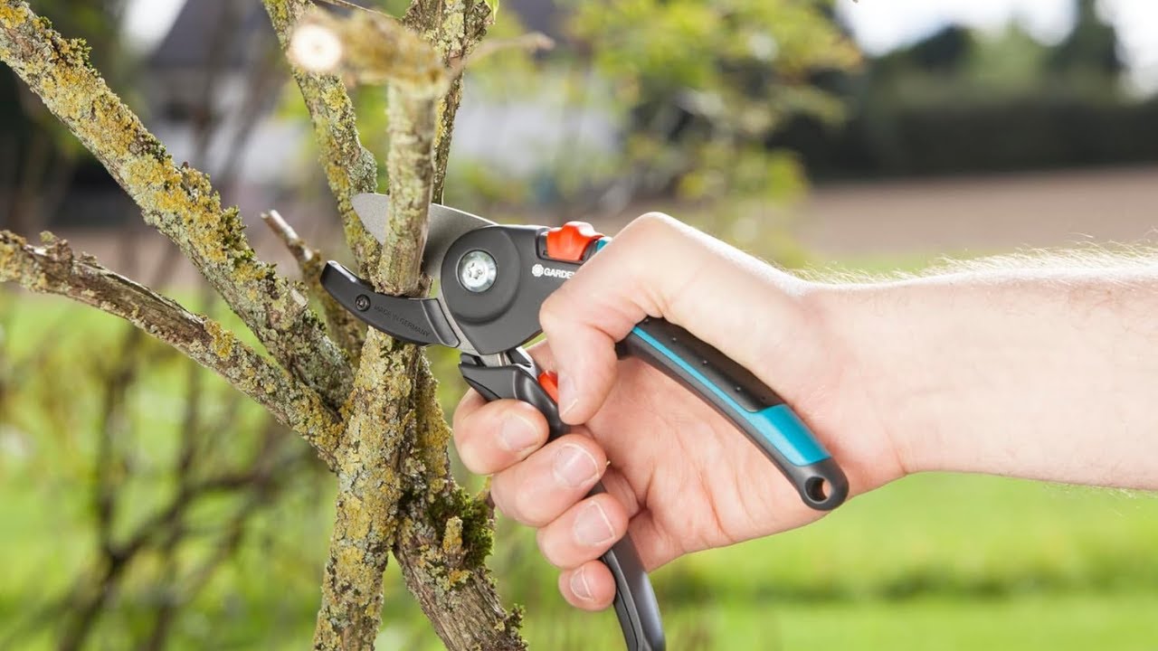 Las 5 Mejores TIJERAS de Podar Calidad Precio ✂️