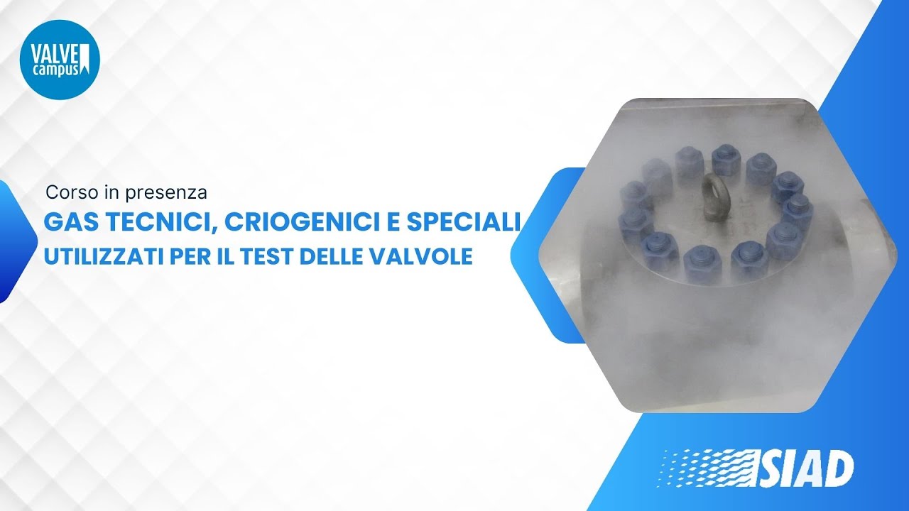Gas tecnici, criogenici e speciali utilizzati per il test delle valvole