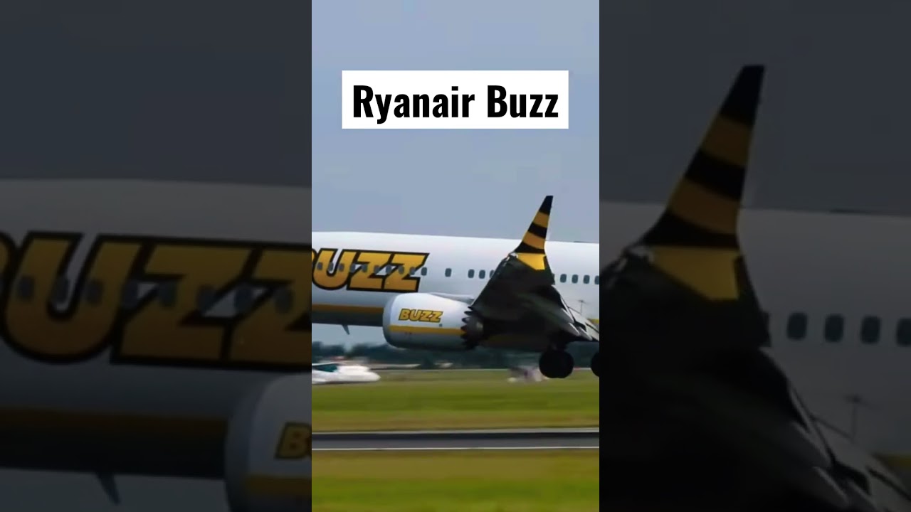 Ryanair Buzz B737 Max landing at Dublin #dublinairport #ryanair #b737max