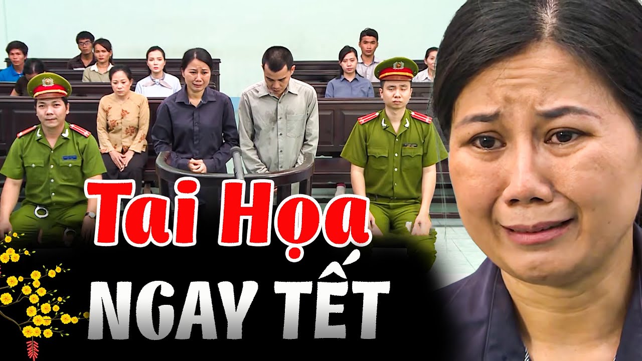 TAI HỌA NGAY TẾT | Truy Tìm Bằng Chứng 2026 | Ký Sự Pháp Đình THVL | Chuyện Cảnh Giác Mới 2026