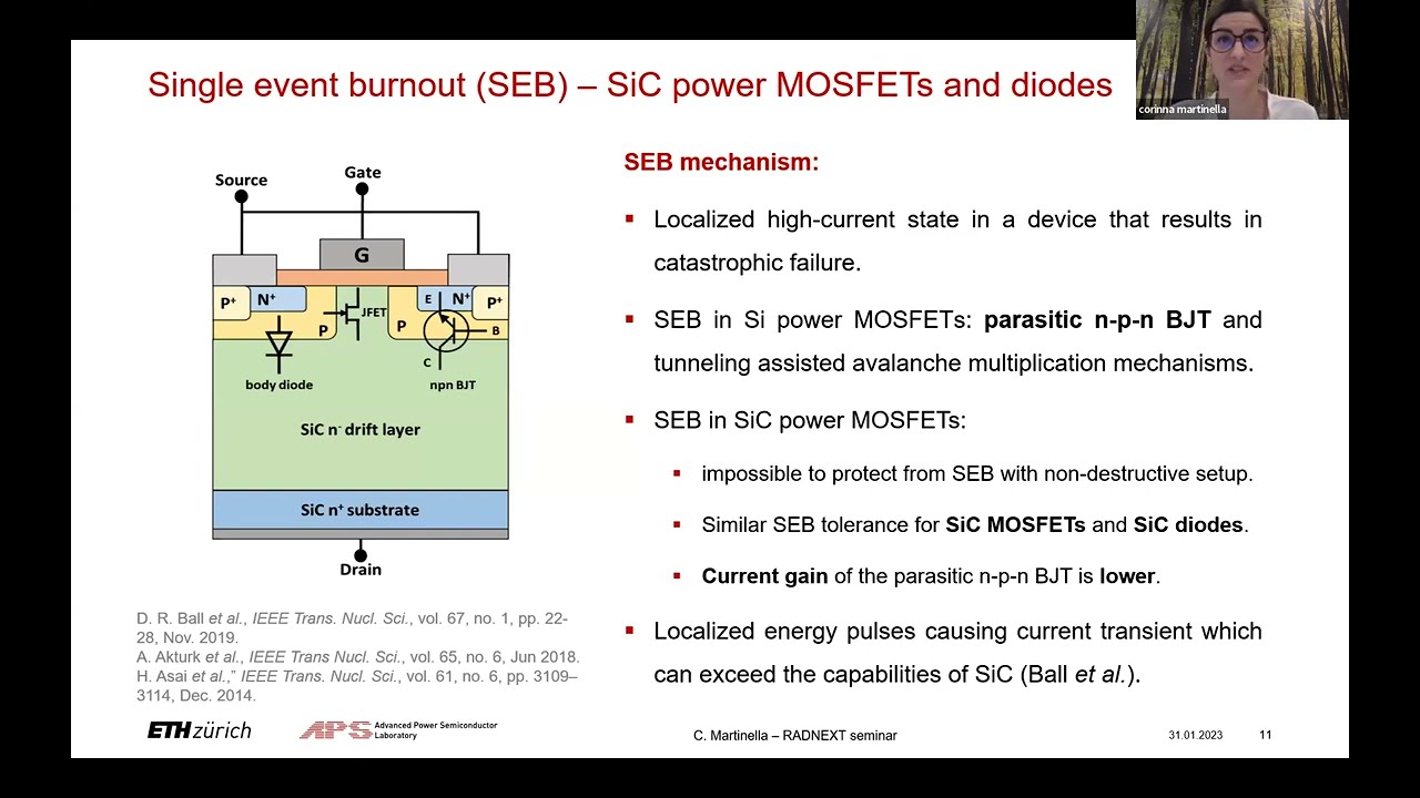 Radiation effects in SiC power devices and possible implications on accelerator applications