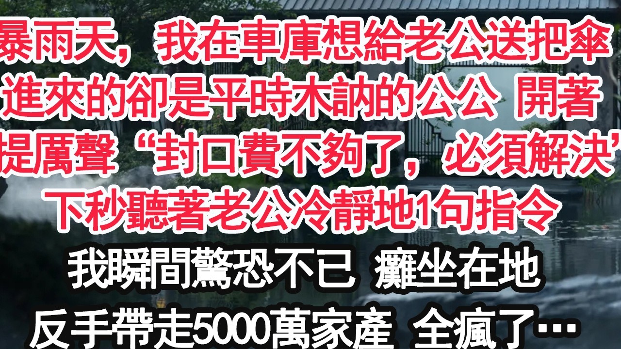 暴雨天，我在車庫想給老公送把傘進來的卻是平時木訥的公公 開著免提厲聲“封口費不夠了，必須解決”下秒聽著老公冷靜地1句指令我瞬間驚恐不已 癱坐在地反手帶走5000萬家產 全瘋了…【顧亞男】【大女主】