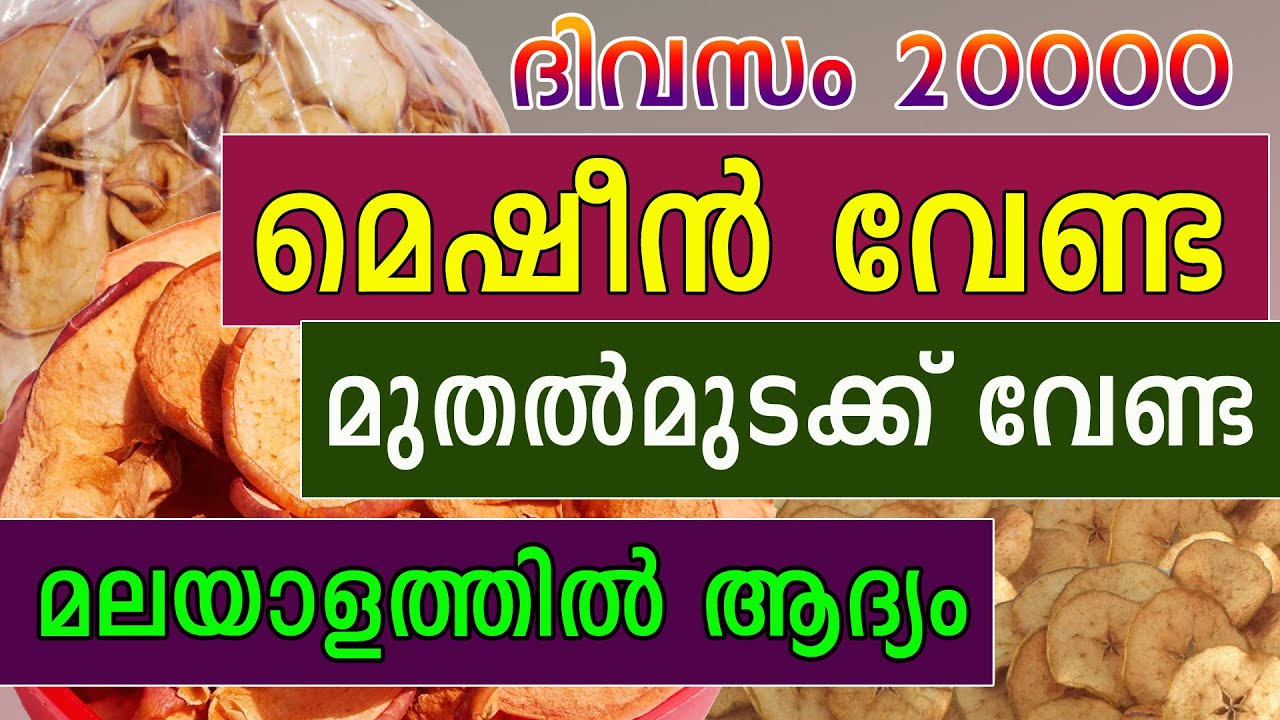 Dried Apple Chips Business Idea Malayalam | Best business ideas Malayalam | Dry Fruits Business Idea