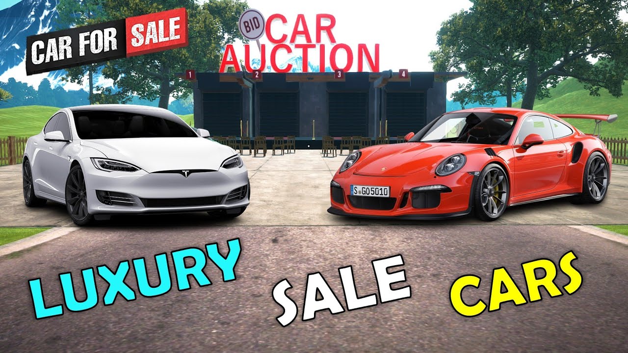 I BOUGHT LUXURY CAR TESLA AND PORSCHE. #2