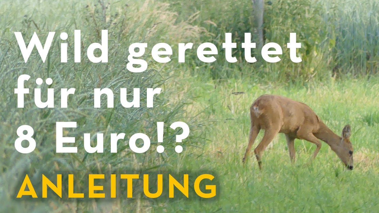 Wasser f&uuml;rs Wild: So einfach habe ich eine Niederwild-Tr&auml;nke gebaut