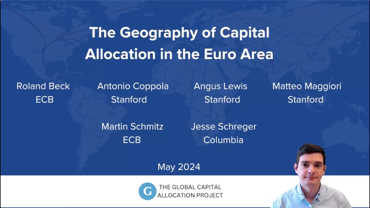 The Geography of Capital Allocation in the Euro Area