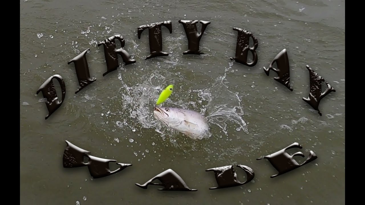 Dirty Bay Wade : Trinity Bay Reds and Trout