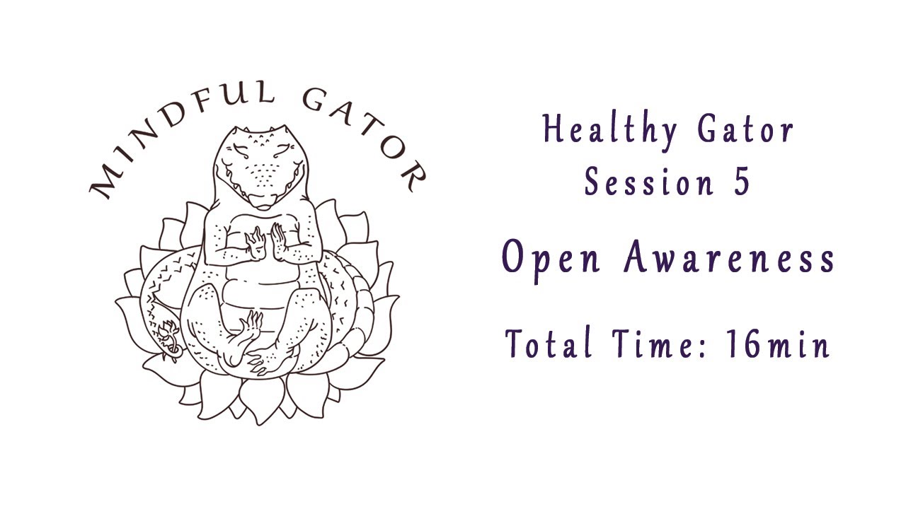 Mindful Gator: Session 5, Open Awareness