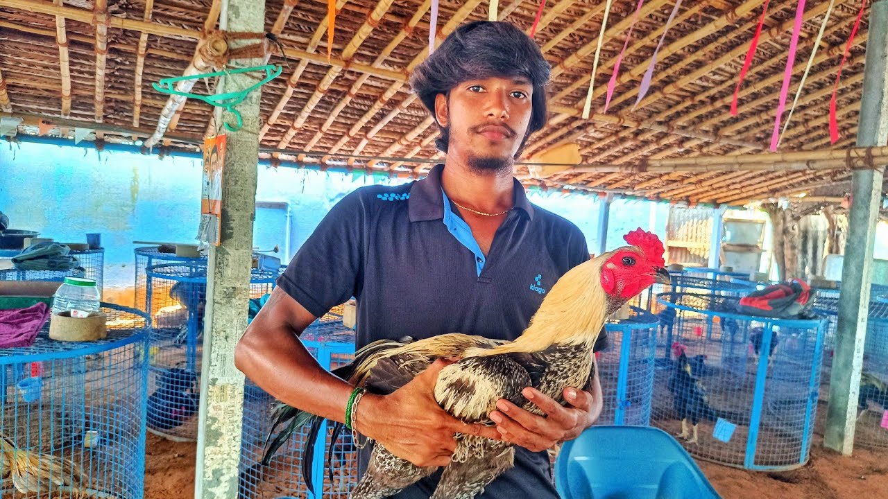 MUKILAN ANNA FARMS   #vlog  @SakthiFarms