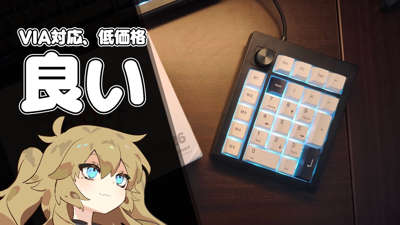 【3,412円】アリエクで買ったVIA対応、ホットスワップ対応の格安メカニカルテンキー。大体の人はこれでいい。【ZUOYA GMK26】
