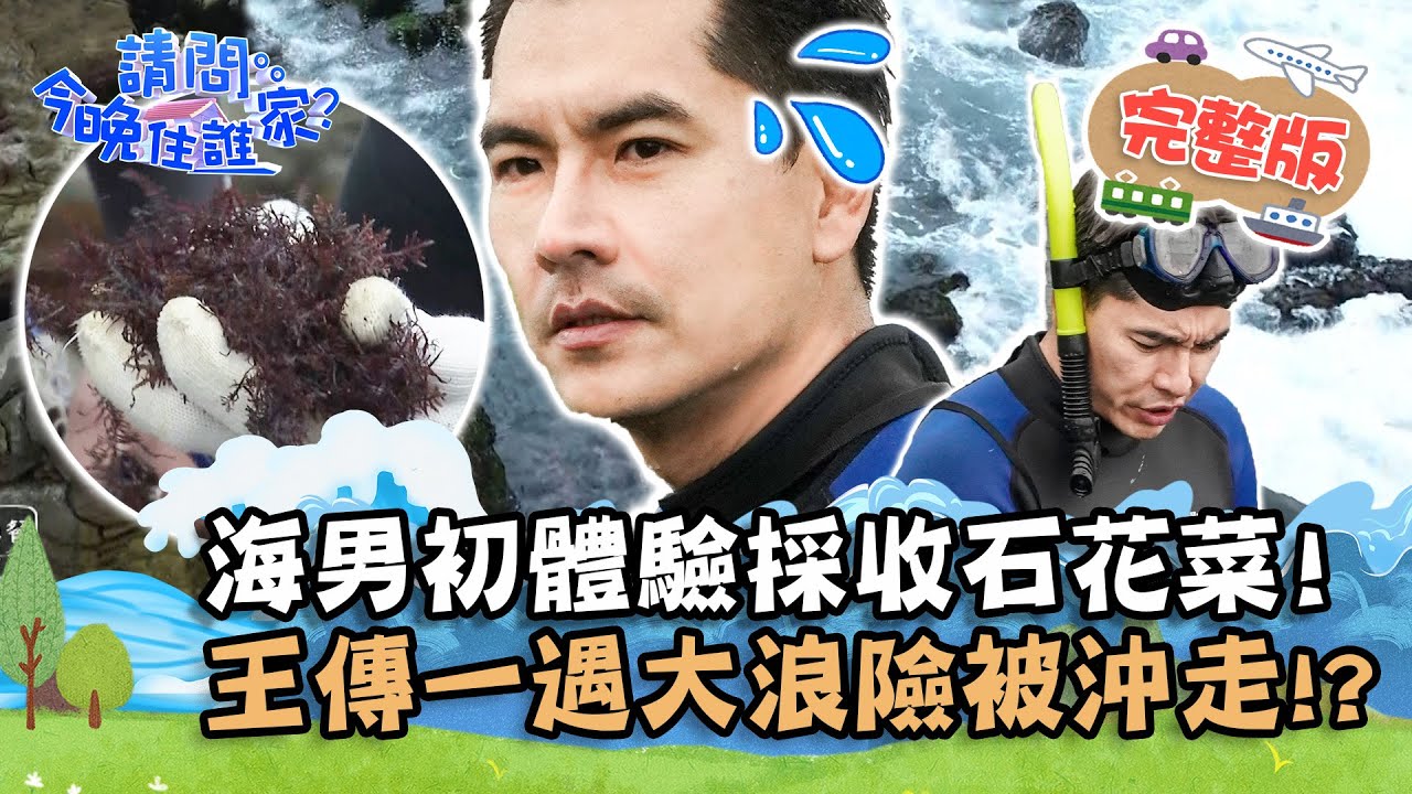 【新北】「海男」初體驗！王傳一採收石花菜 竟遇大浪險被沖走！？📌貢寮【#請問今晚住誰家】20210713 EP382 王傳一 肯納 張睿家