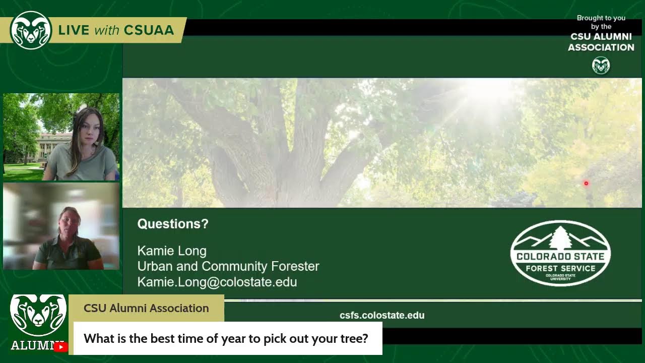 Branching Out: Tree Series Pt. 1 – Lunch & Learn