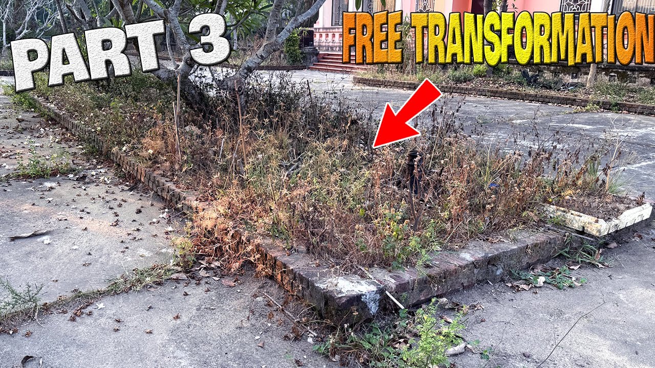 Ancient Champa relics forgotten | Mowing, cleaning and beautifying for free  [ PART 3]