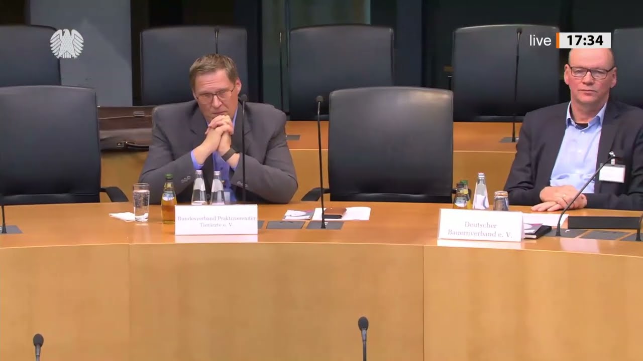 Experten sehen Nachbesserungsbedarf beim Tierschutzgesetz