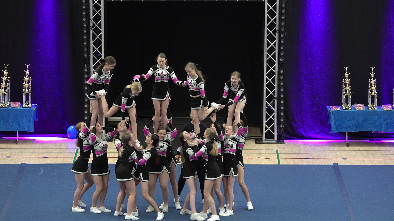 Tigers Energy DM 2019