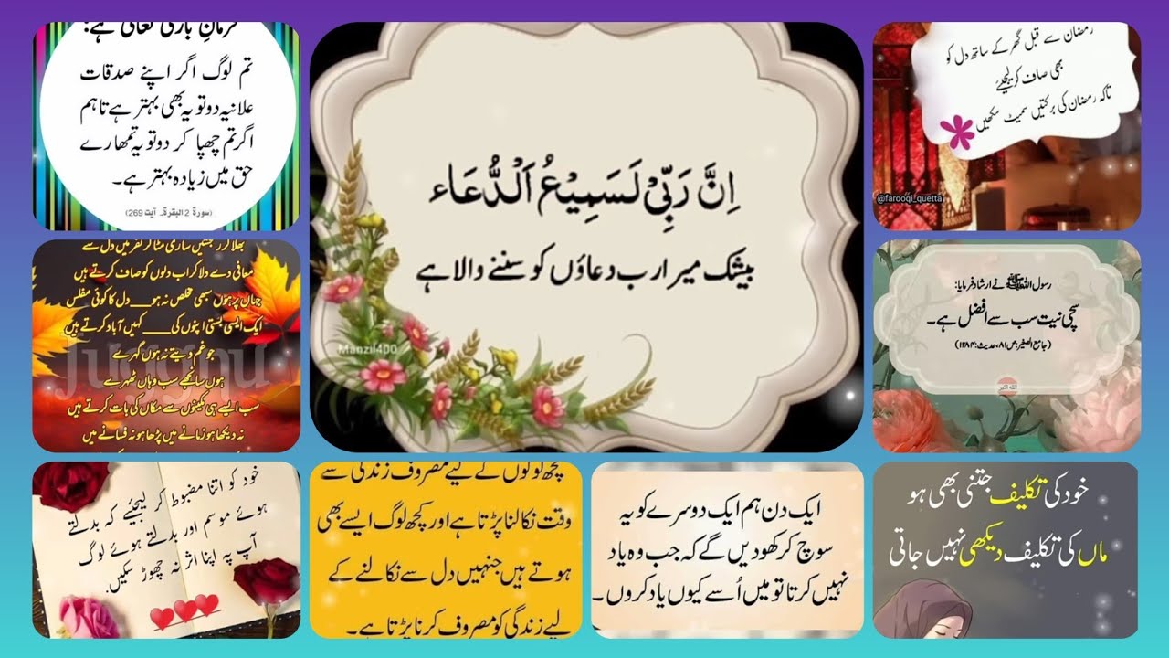 Urdu quotes😭😂😭 |aqwal e zareen new|gehri baten |deeni baatein|best Urdu shayari 💐Amazing Collection