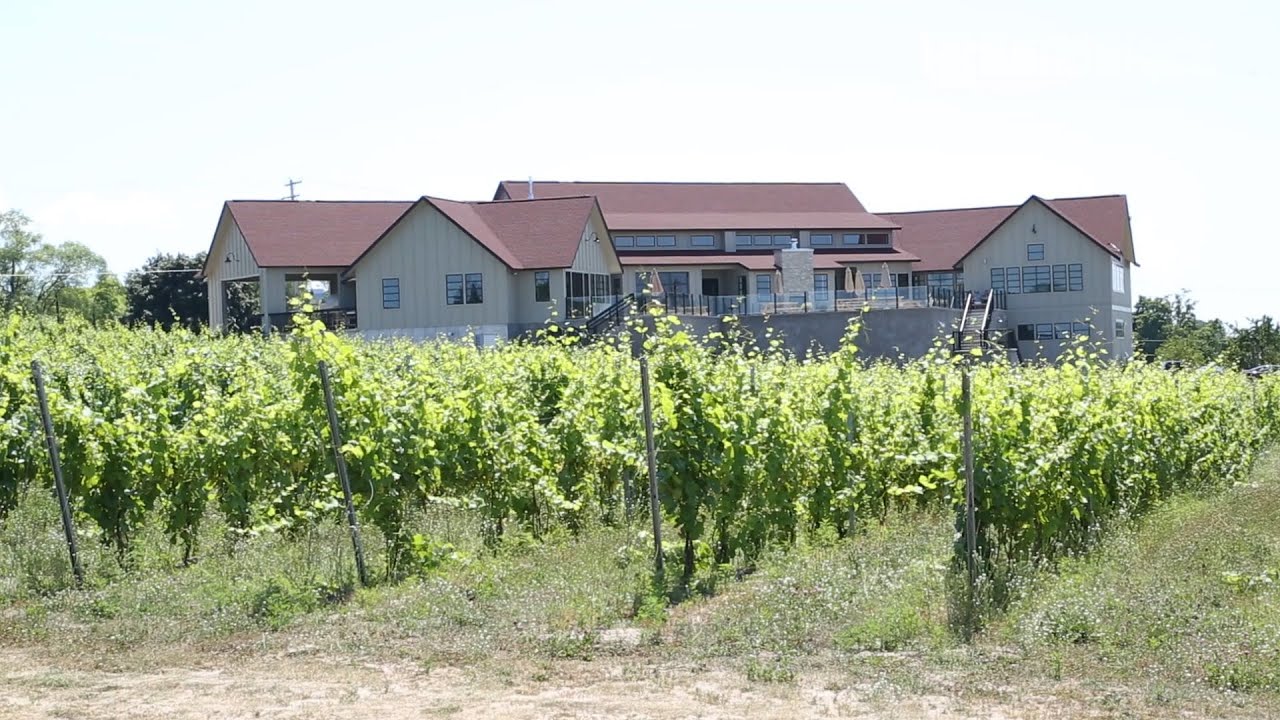Bonobo Winery, An ICF Winery: Part 1