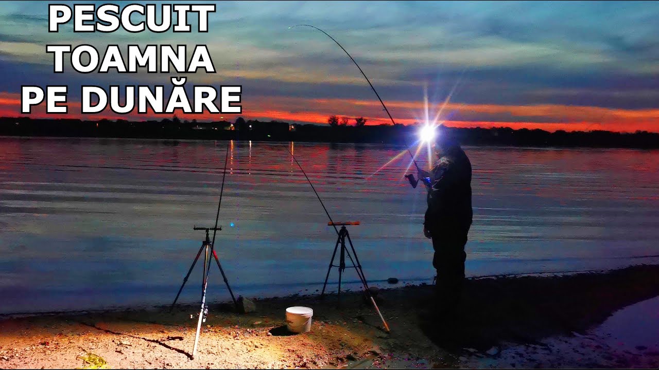 Pescuit PE DUNARE Toamna &Icirc;N LOC NOU cu Nea Ianoș, la Morunaș