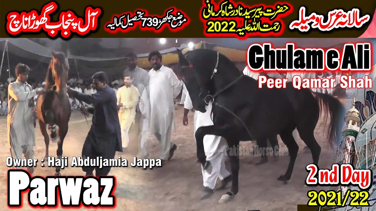 Ghulam e Ali vs Parwaz ll All Pakistan Horse Dance ll 739 Moza Jakhar Kamalia 2021/22