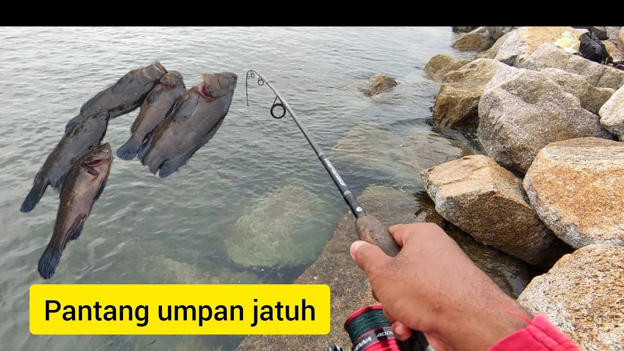 Mancing Kerapu Celah-Celah Batu