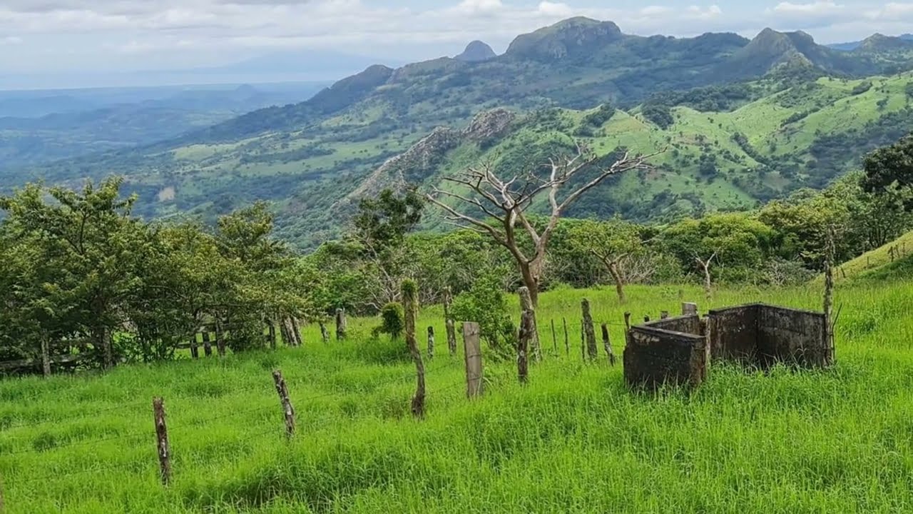Finca en Venta con Tierra de Calidad Inversión Garantizada