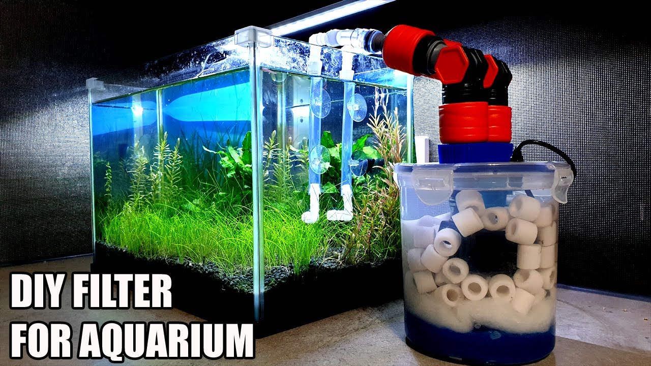 Build A Aquarium Filter At Home