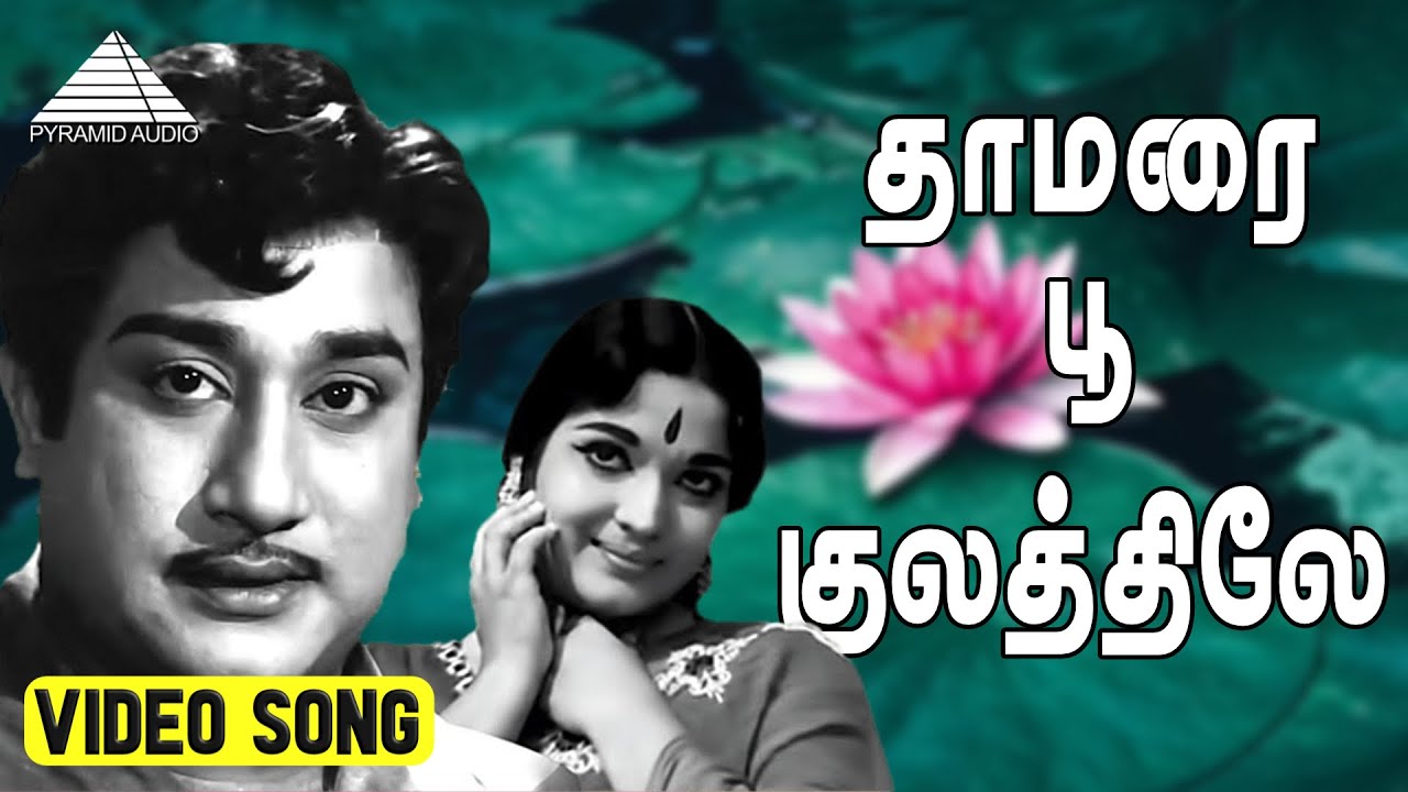 தாமரை பூ குலத்திலே Video Song | Muradan Muthu | Sivaji Ganesan | Devika | T. G. Lingappa
