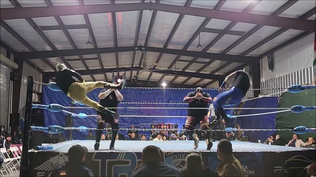 LLANOS PROMOTIONS PRESENTA GRAN LUCHA